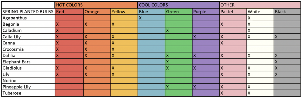 Color In The Garden
